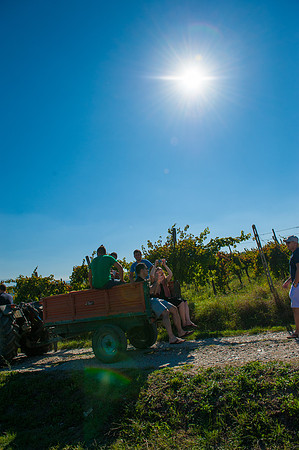 Italy Wedding