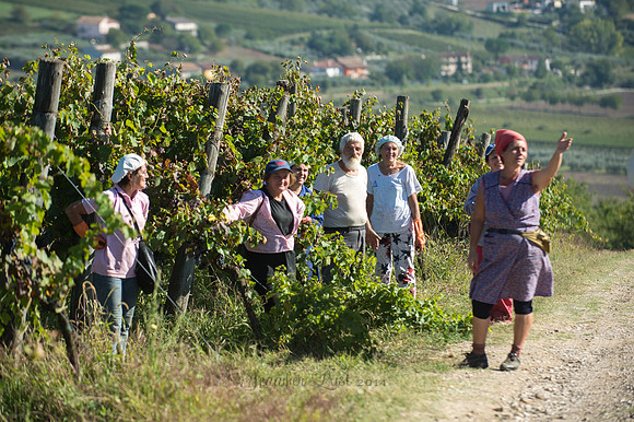 Italy Wedding
