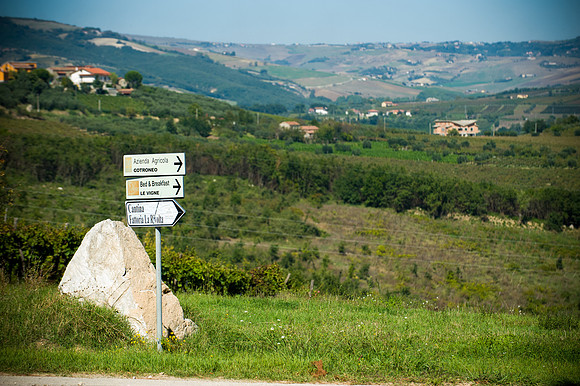 Italy Wedding