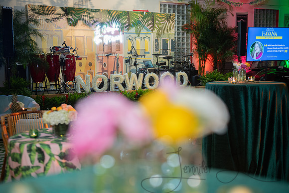 2.8.25 Norwood FR-15