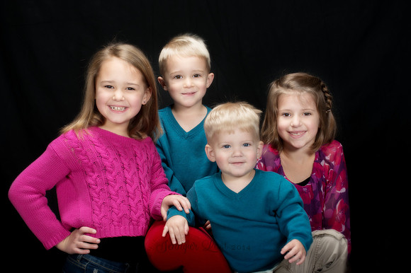 2013_Schwartz_40