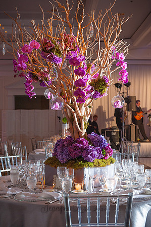 Ritz Carlton Tysons Corner, Virginia